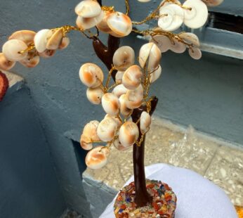 Laxmi Cowrie Shell Tree